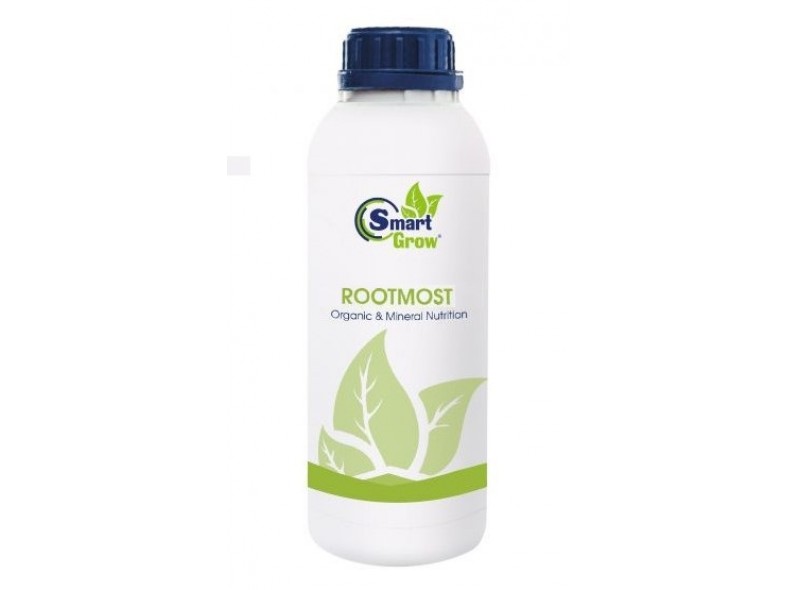 Добриво Smart Grow Root Most (Смарт Гроу Рут Міст), 1л Добриво Smart Grow Root Most (Смарт Гроу Рут Міст), 1л